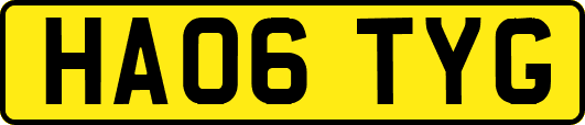 HA06TYG