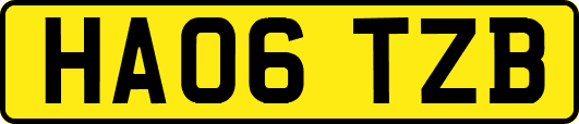 HA06TZB