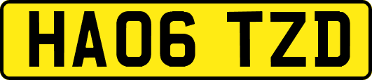 HA06TZD