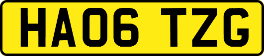 HA06TZG