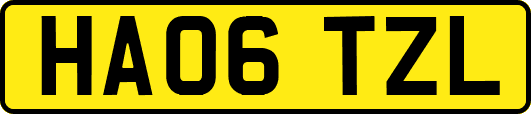 HA06TZL