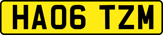 HA06TZM