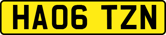 HA06TZN