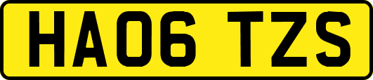 HA06TZS