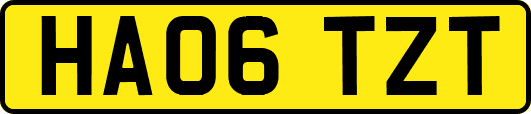 HA06TZT