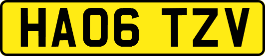 HA06TZV