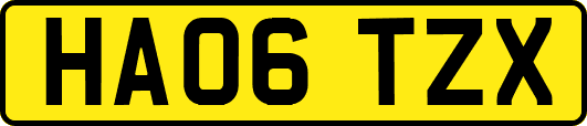 HA06TZX