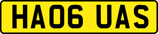 HA06UAS