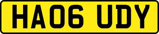 HA06UDY