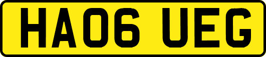 HA06UEG