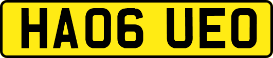 HA06UEO