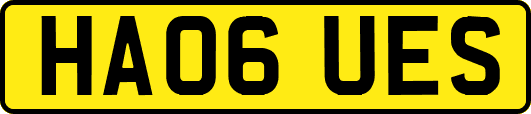 HA06UES