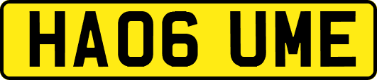 HA06UME