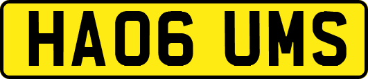 HA06UMS