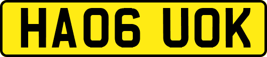 HA06UOK