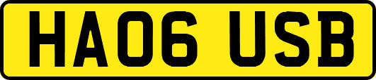 HA06USB