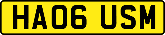 HA06USM