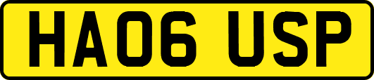 HA06USP