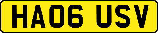 HA06USV