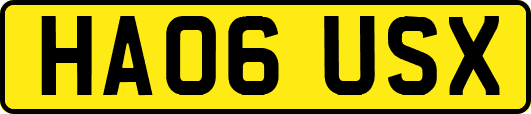 HA06USX