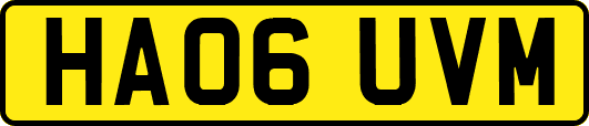 HA06UVM
