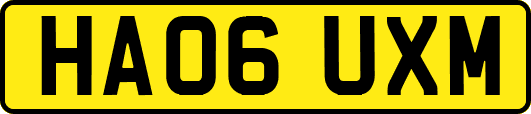 HA06UXM