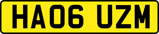 HA06UZM