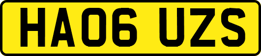 HA06UZS
