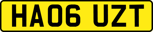 HA06UZT
