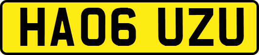 HA06UZU