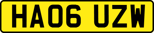 HA06UZW