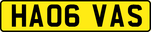 HA06VAS