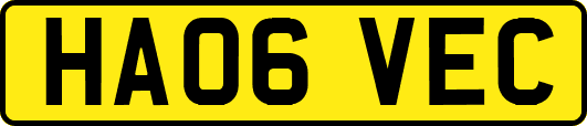 HA06VEC