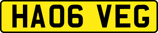 HA06VEG