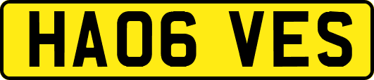 HA06VES