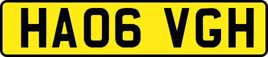 HA06VGH