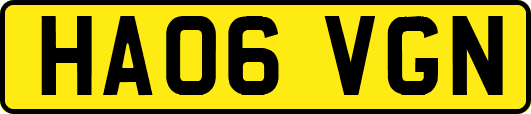 HA06VGN