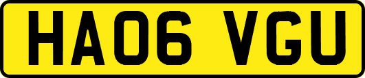 HA06VGU