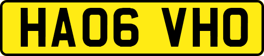 HA06VHO
