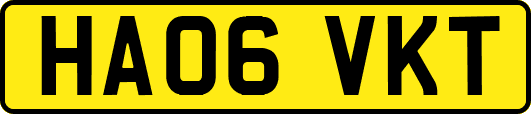 HA06VKT