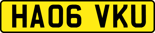 HA06VKU