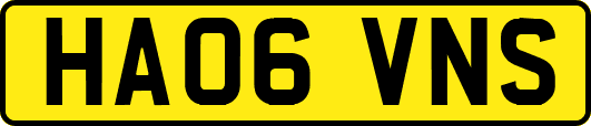 HA06VNS