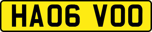 HA06VOO