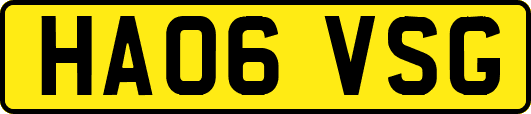 HA06VSG