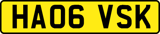 HA06VSK