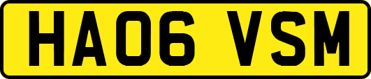 HA06VSM
