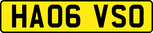 HA06VSO