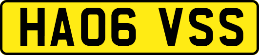 HA06VSS