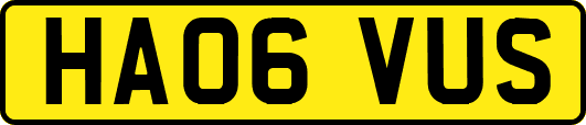 HA06VUS