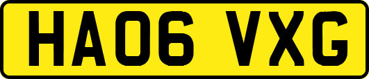 HA06VXG